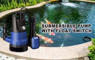 What is a submersible pump with float switch picture