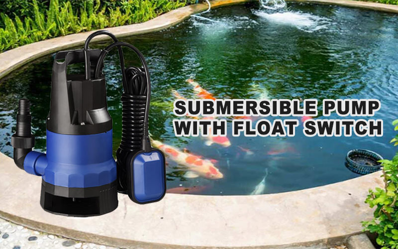 What is a submersible pump with float switch picture