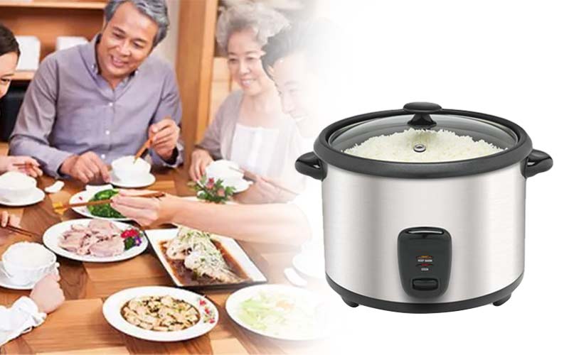 rice cooker micro switch featured picture