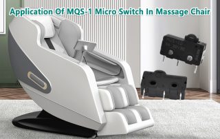 MQS-1 Micro Switch