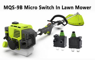 MQS-9B Micro Switch
