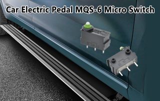 MQS-6 Micro Switch