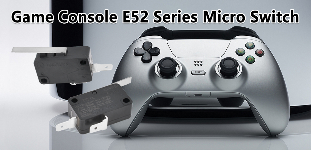 E52 Series Micro Switch