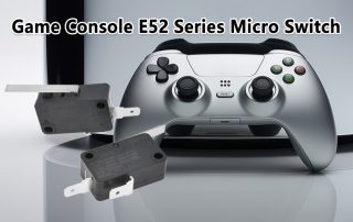 E52 Series Micro Switch