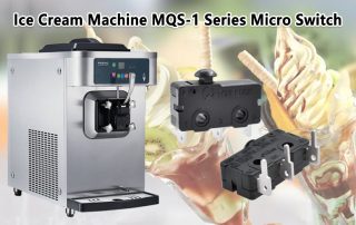 MQS-1 Series Micro Switch