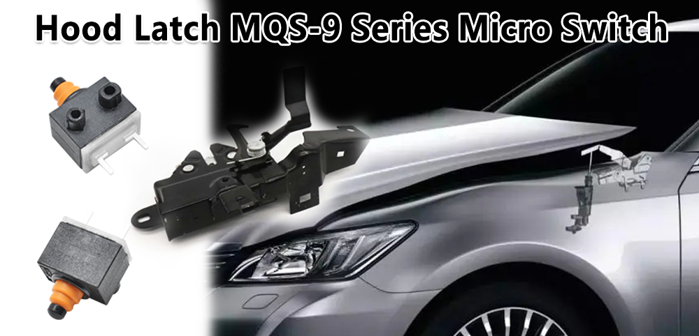 MQS-9 Series Micro Switch