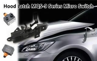 MQS-9 Series Micro Switch