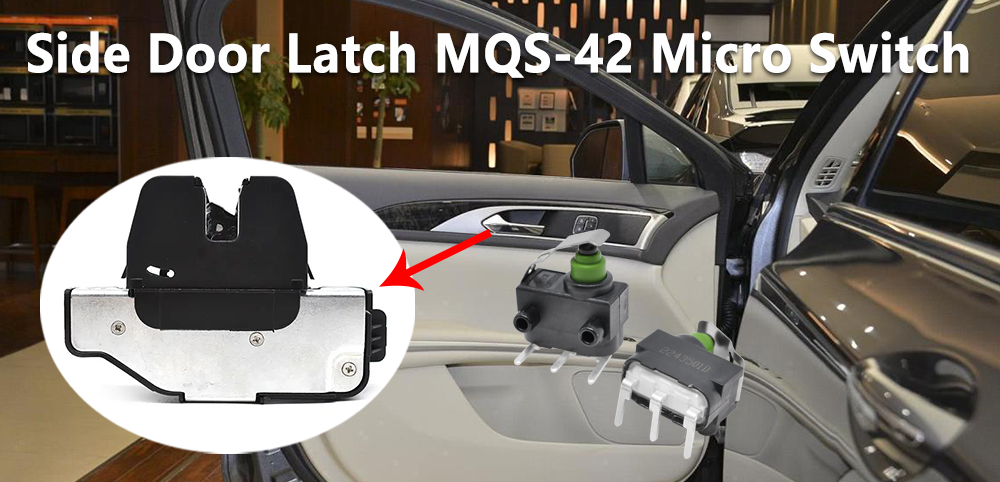 MQS-42 Micro Switch