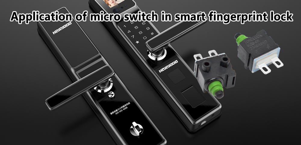micro switch