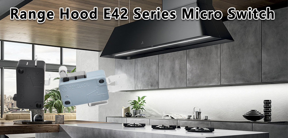 E42 Series Micro Switch