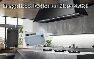 E42 Series Micro Switch